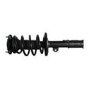 Pierna de suspensión AG Proshock Toyota Corolla (Undécima generación) 2013-2019 Delanteras-4