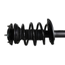 Pierna de suspensión AG Proshock Toyota Corolla (Undécima generación) 2013-2019 Delanteras-7