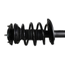 Pierna de suspensión AG Proshock Toyota Corolla (Undécima generación) 2013-2019 Delanteras-9
