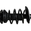 Pierna de suspensión AG Proshock Toyota Corolla (Undécima generación) 2013-2019 Delanteras-10
