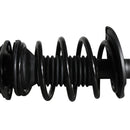 Pierna de suspensión AG Proshock Toyota Corolla (Undécima generación) 2013-2019 Delanteras-8