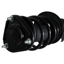Pierna de suspensión AG Proshock Toyota Corolla (Undécima generación) 2013-2019 Delantera Izquierda-10
