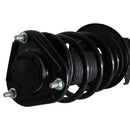 Pierna de suspensión AG Proshock Toyota Corolla (Undécima generación) 2013-2019 Delantera Izquierda-8