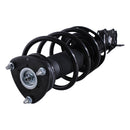 Pierna de suspensión AG Proshock Mazda 3 (Tercera generación) 2014-2018 Delantera Izquierda-5