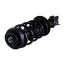 Pierna de suspensión AG Proshock Chevrolet Beat (Incluye Beat Activ) 2018-2021 Delantera Derecha-6