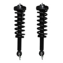 Piernas de suspensión AG Proshock Ford F150 2015-2020 Delanteras-1