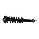 Pierna de suspensión AG Proshock Ford F150 2015-2020 Delantera Izquierda-1
