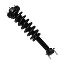 Piernas de suspensión AG Proshock Ford F150 2015-2020 Delanteras-4