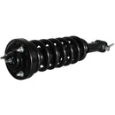 Piernas de suspensión AG Proshock Ford F150 2015-2020 Delanteras-5