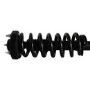 Piernas de suspensión AG Proshock Ford F150 2015-2020 Delanteras-7